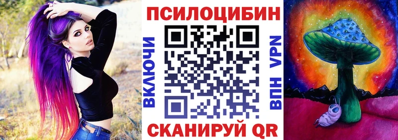 mega tor  Новохопёрск  Псилоцибиновые грибы прущие грибы 